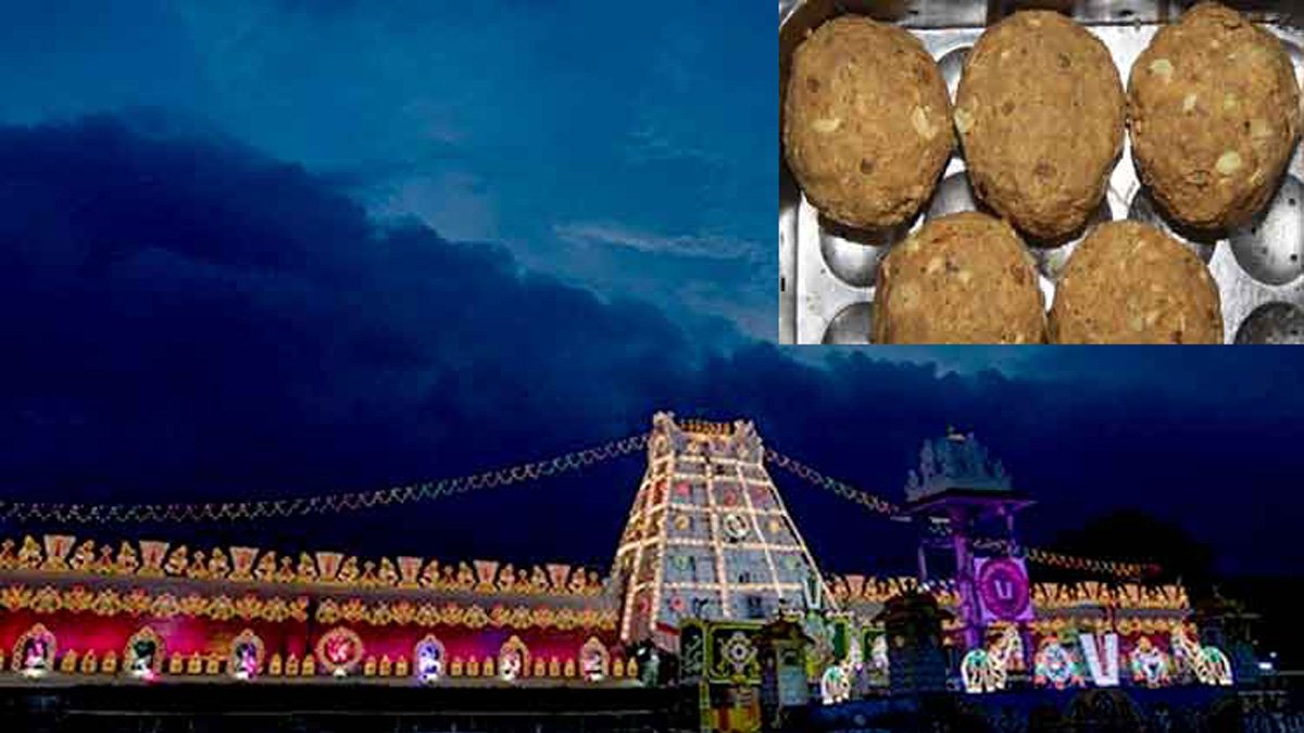 Tirupati laddu on the alleged presence of animal fat